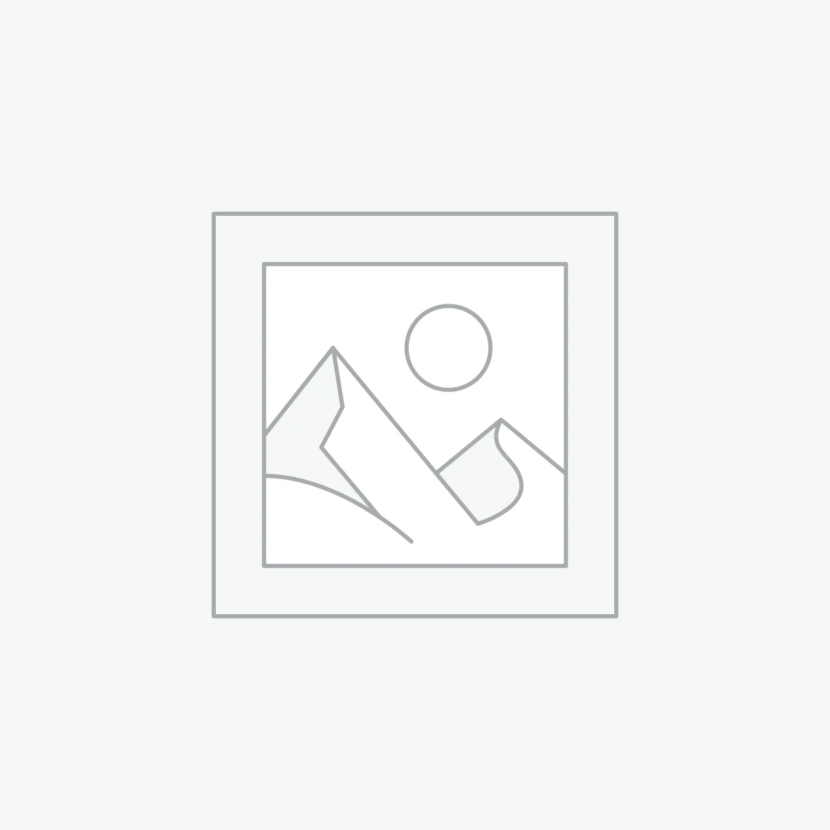 Moto GPS Pro